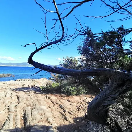 Sandra בית נופש *